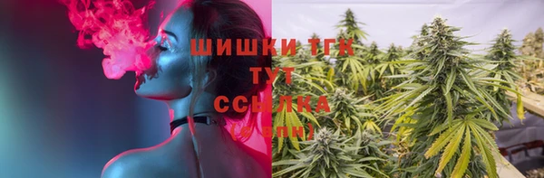 ГАЛЛЮЦИНОГЕННЫЕ ГРИБЫ Аркадак