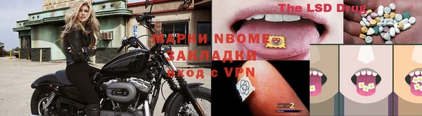 винт Алзамай
