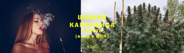 ГАЛЛЮЦИНОГЕННЫЕ ГРИБЫ Аркадак