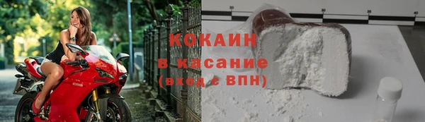 стаф Арсеньев