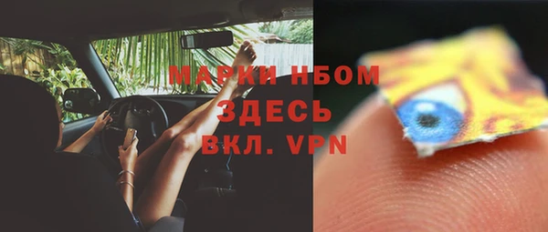 винт Алзамай