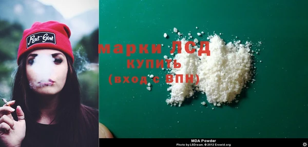 стаф Арсеньев