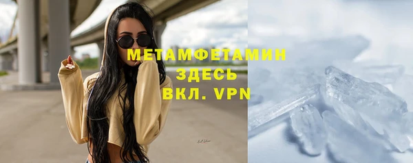 мет Алексин