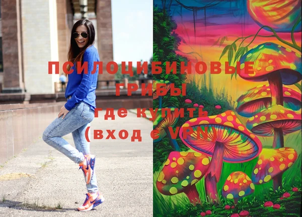 стаф Арсеньев