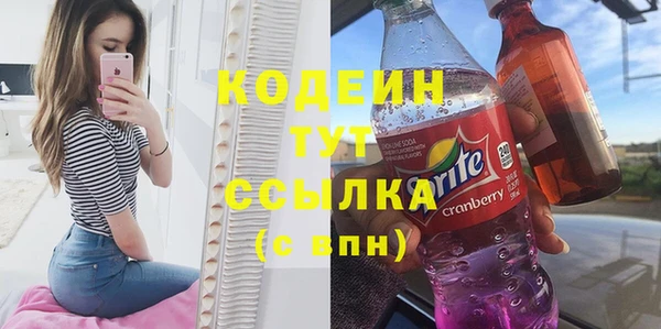 стаф Арсеньев