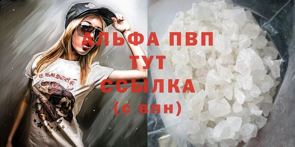 стаф Арсеньев
