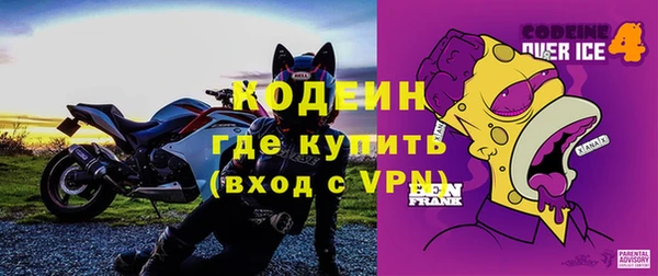 ГАЛЛЮЦИНОГЕННЫЕ ГРИБЫ Аркадак